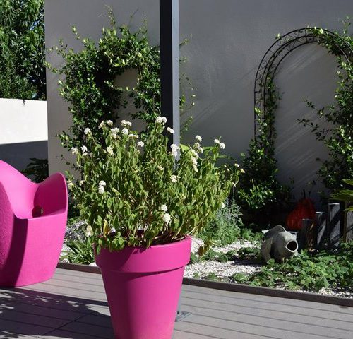 Amenagement jardin baillargues