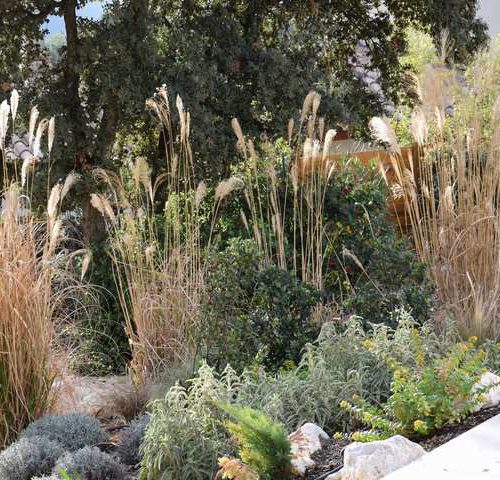 jardin mediterranéen