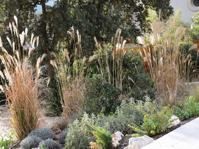 jardin mediterranéen