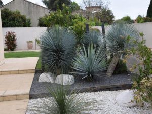 paysagiste herault bordure jardin montpellier