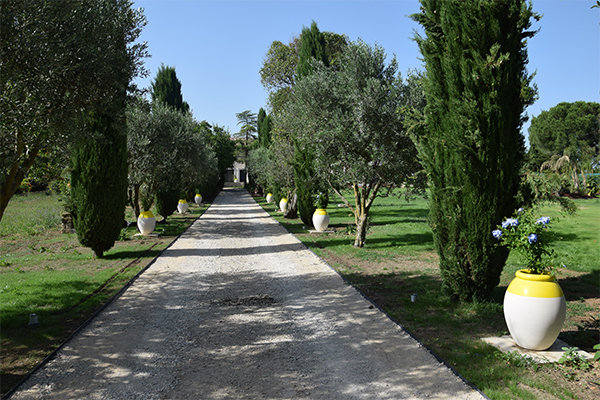 Aménagement d’un parc privé à Montpellier